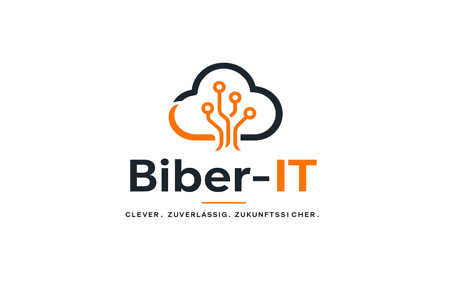 Biber-IT · IT-Dienstleister Karlsruhe